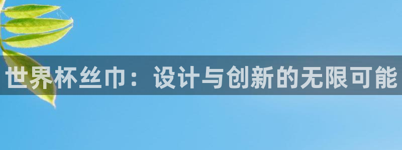 2006年世界杯冠军：世界杯丝巾：设计与创新的无限可能