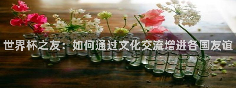 2026世界杯直播免费观看：世界杯之友：如何通过文化交流增进各国友谊