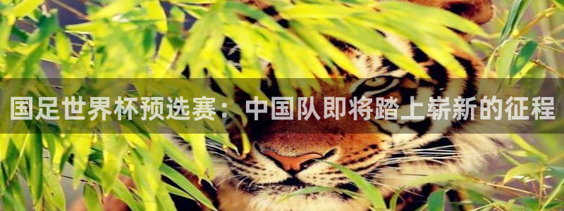 世界杯 赛程：国足世界杯预选赛：中国队即将踏上崭新的征程