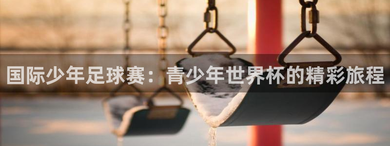 2026 世界杯：国际少年足球赛：青少年世界杯的精彩旅程