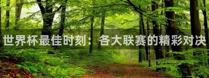 世界杯在线直播入口：世界杯最佳时刻：各大联赛的精彩对决