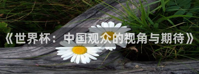 2026世界杯赛：《世界杯：中国观众的视角与期待》