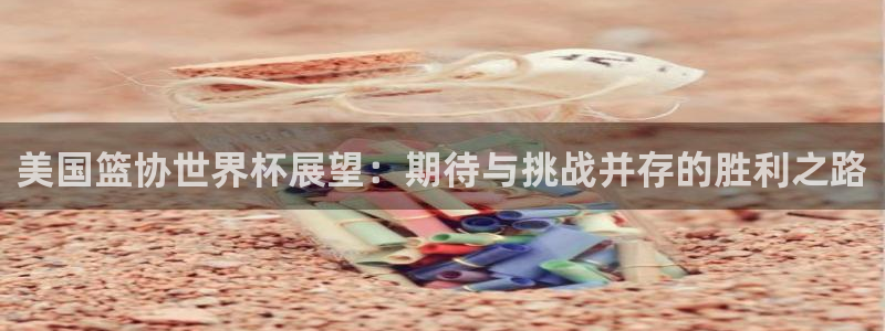 2026世界杯赛：美国篮协世界杯展望：期待与挑战并存的胜利之路
