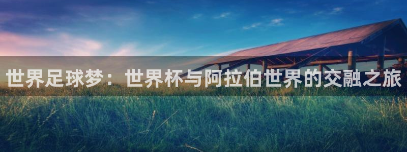 国际足联世界杯：世界足球梦：世界杯与阿拉伯世界的交融之旅