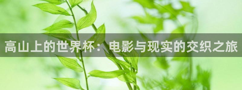世界杯直播在线观看入口：高山上的世界杯：电影与现实的交织之旅