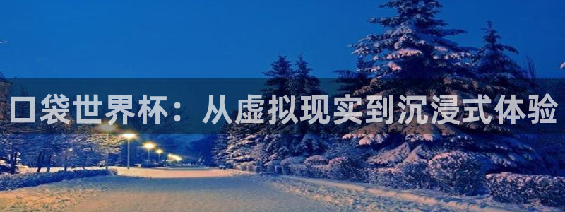 2026 世界杯：口袋世界杯：从虚拟现实到沉浸式体验