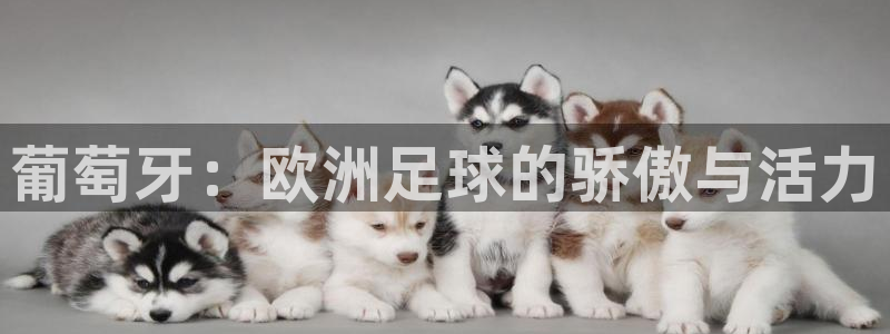 欧洲区世界杯预选赛：葡萄牙：欧洲足球的骄傲与活力