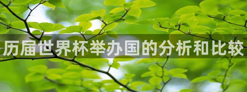 2026葡萄牙杯赛程表：历届世界杯举办国的分析和比较
