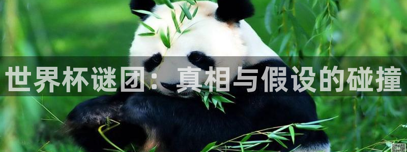 世界杯赛程表：世界杯谜团：真相与假设的碰撞