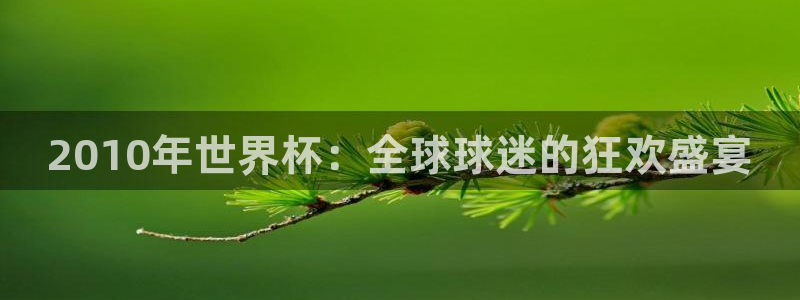 世界杯预选赛欧洲区赛程：2010年世界杯：全球球迷的狂欢盛宴