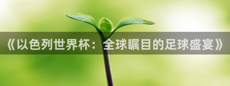 足球比分直播世界杯：《以色列世界杯：全球瞩目的足球盛宴》