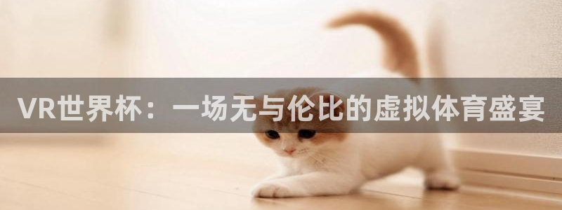 世界杯直播观看：VR世界杯：一场无与伦比的虚拟体育盛宴