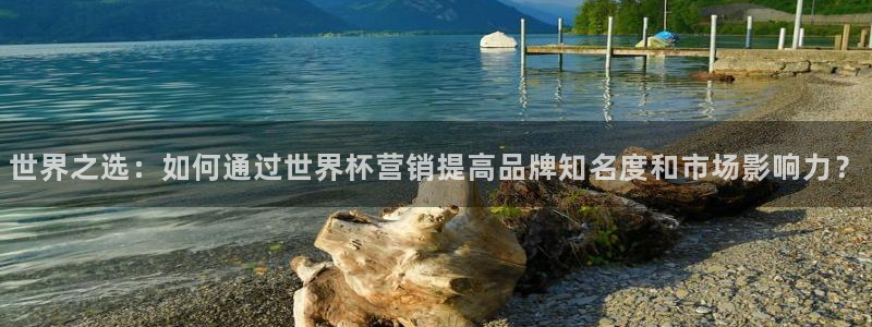 世界杯附加赛赛程表：世界之选：如何通过世界杯营销提高品牌知名度和市场影响力？